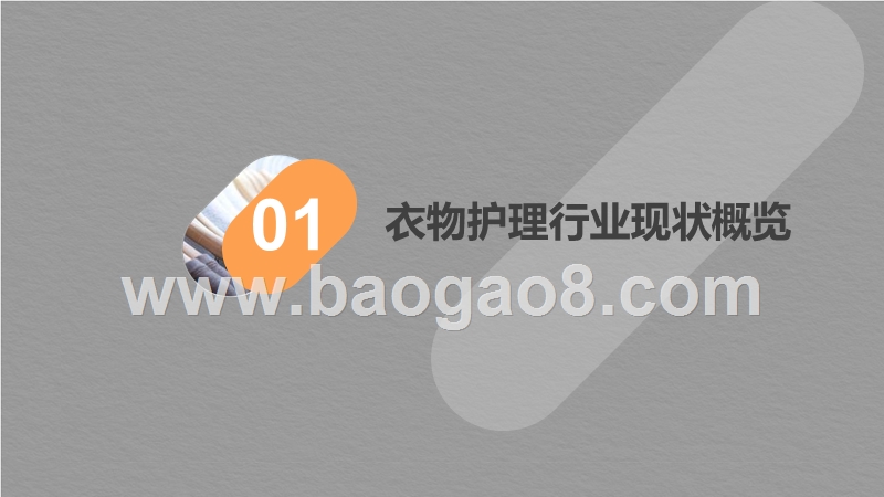 2019-2020线上衣物护理研究报告.pptx_第3页