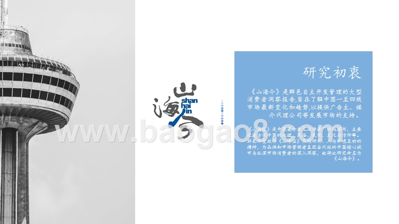 山海今系列洞察.pptx_第2页