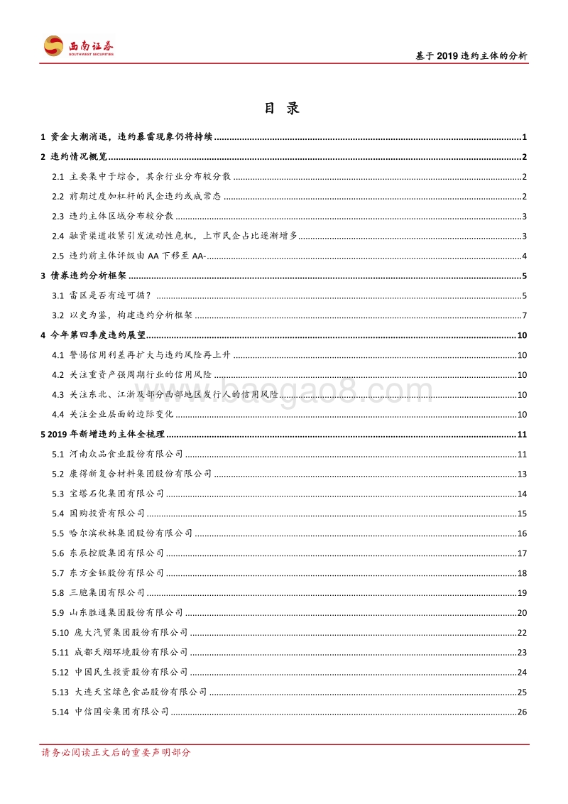 基于2019违约主体信用分析：雷区是否有迹可循？.pdf_第2页