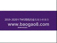 2019-2020年TWS耳机行业发展分析报告.pptx