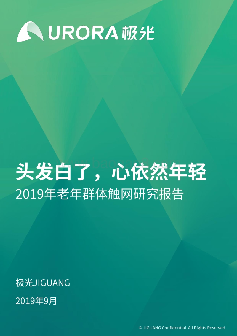 2019年老年群体触网研究报告.pdf_第1页