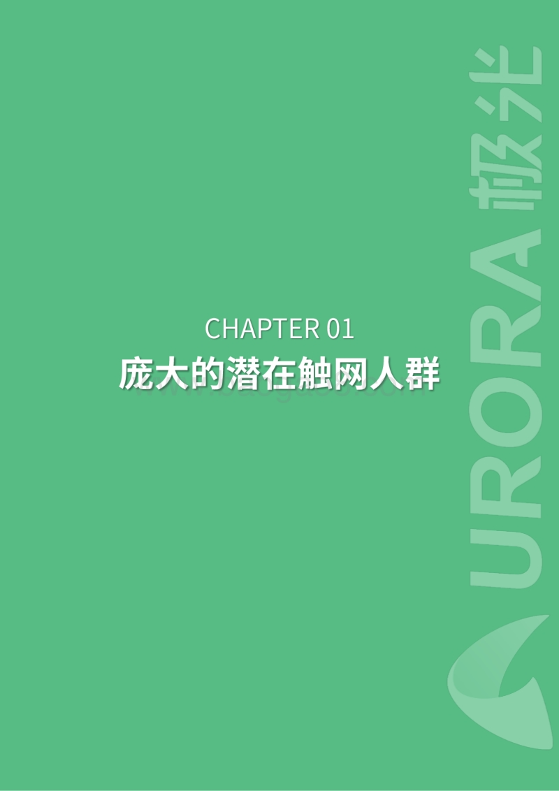 2019年老年群体触网研究报告.pdf_第5页