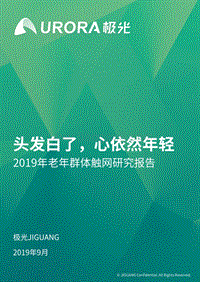 2019年老年群体触网研究报告.pdf