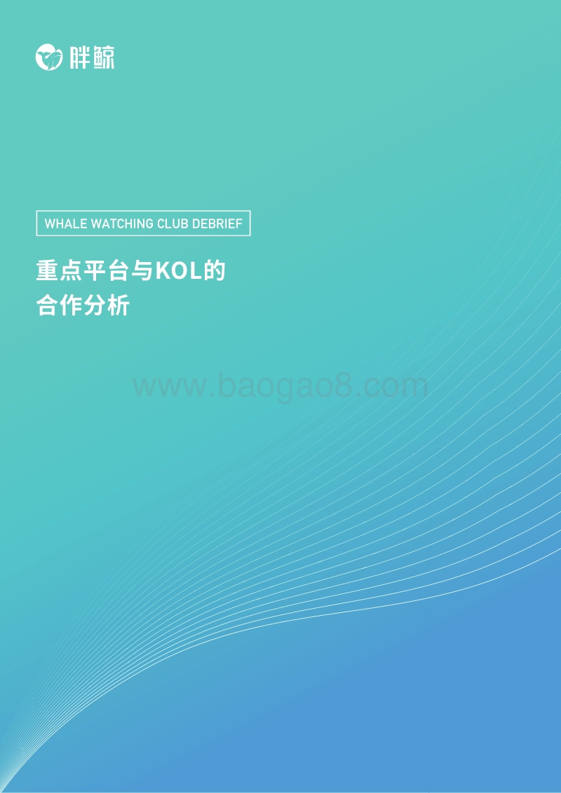 376-3-WWC-Debrief-重点平台与KOL的合作分析-1.pdf_第1页