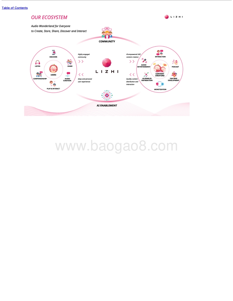 荔枝FMIPO招股书.pdf_第5页