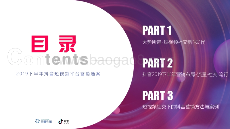2019下半年抖音短视频平台营销通案.pdf_第2页