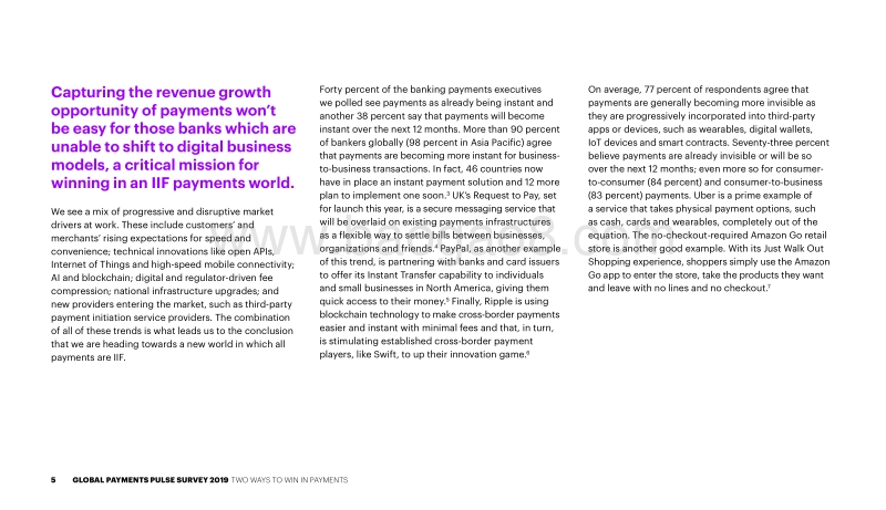 2019年全球支付调查报告.pdf_第5页