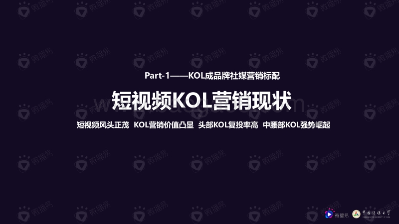 2020年中腰部KOL营销发展报告(1).pdf_第5页