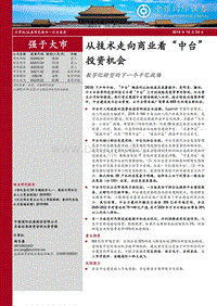 从技术走向商业看“中台”投资机会：数字化转型的下一个千亿战场.pdf