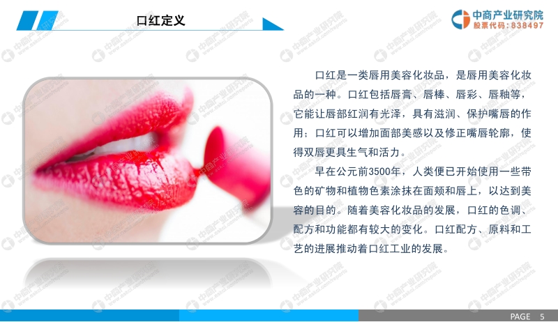 2019年口红行业市场前景及投资研究报告.pdf_第5页