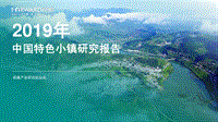 2019年中国特色小镇研究报告.pdf