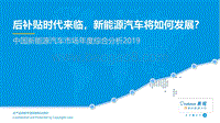2019中国新能源汽车市场年度综合分析.pdf