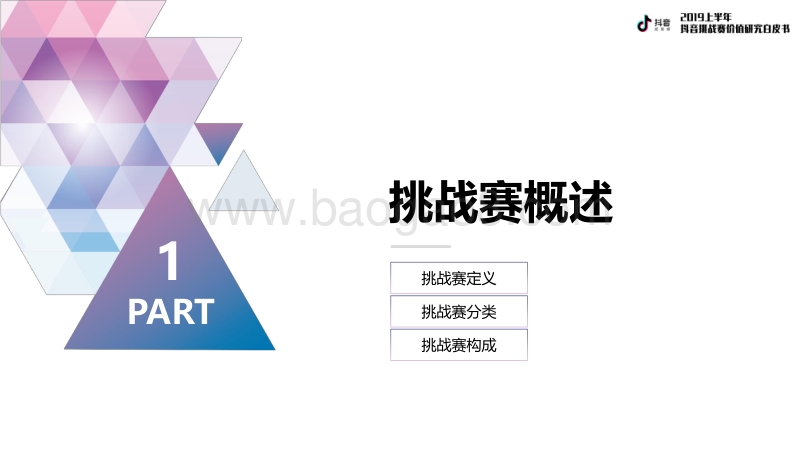 2019上半年抖音挑战赛价值研究白皮书.pdf_第5页