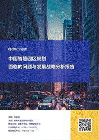 中国智慧园区规划面临的问题与发展战略分析报告.pdf