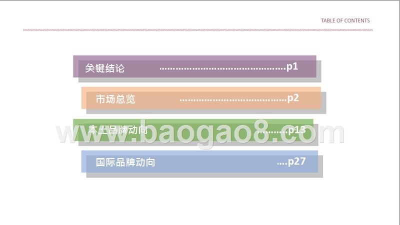 2019中国服装市场总览与前景分析报告.pptx_第2页