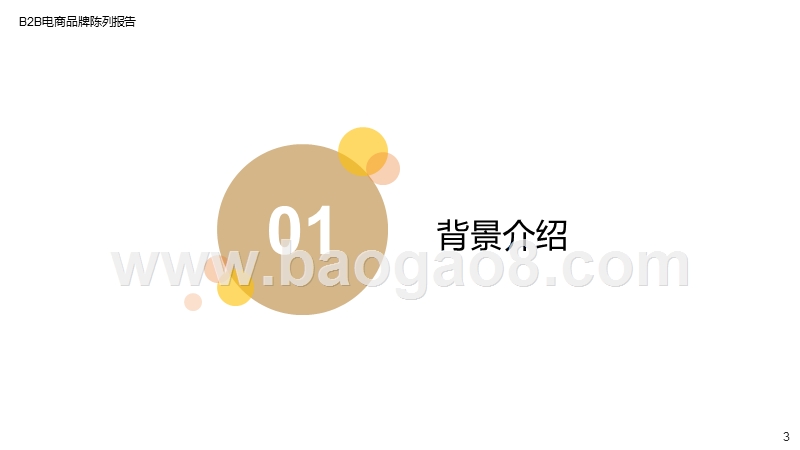 2019-2020年B2B电商品牌陈列分析报告.pptx_第3页