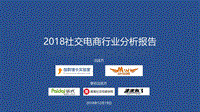 2018社交电商行业分析报告.pdf