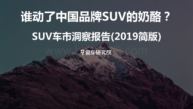 2019简版SUV车市洞察报告.pdf_第1页