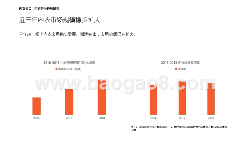 2019-2020内衣行业趋势研究报告.pptx_第5页