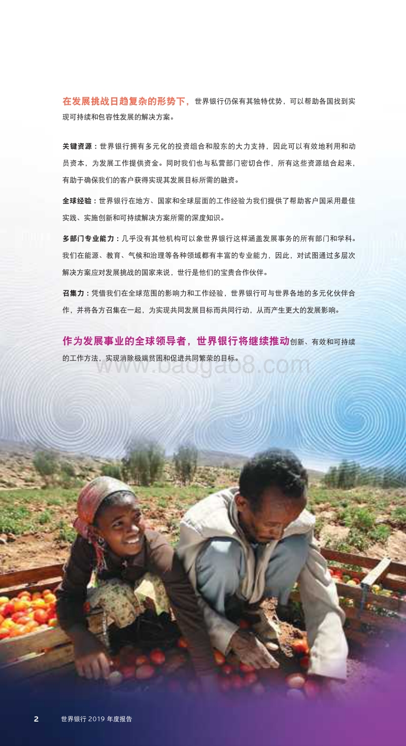 世界银行2019年年度报告：终结贫困，投资于机会.pdf_第5页