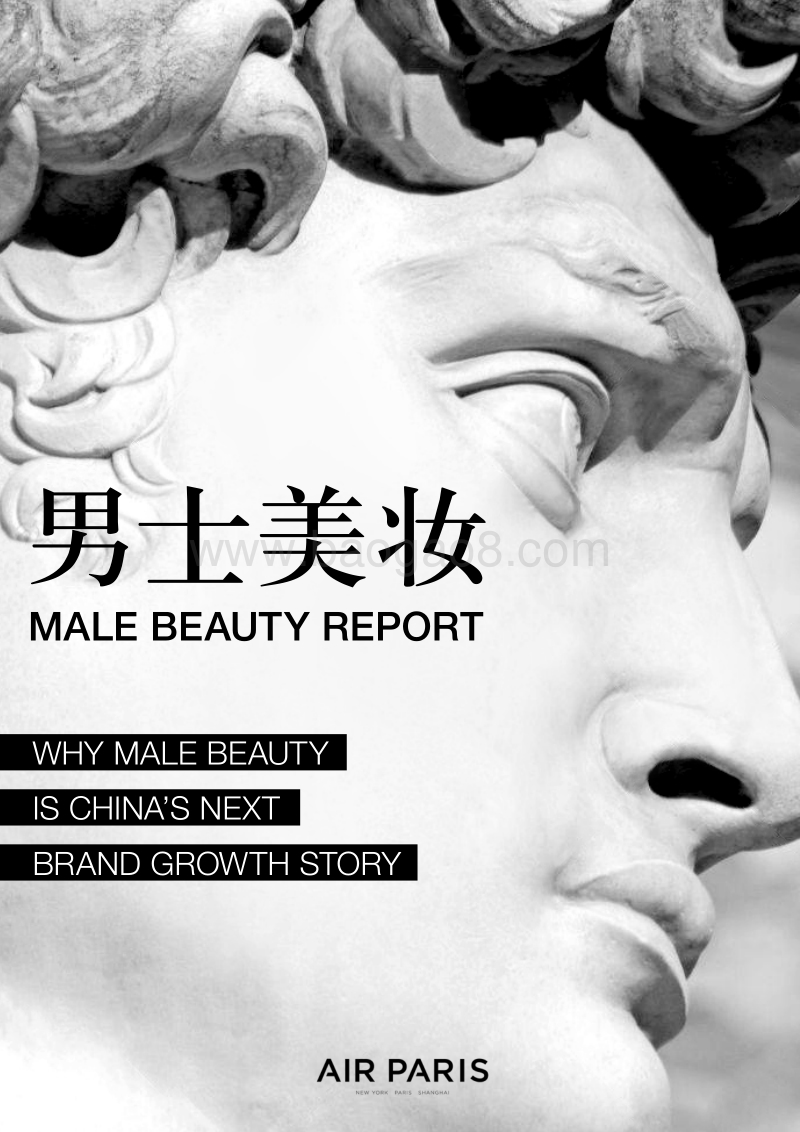 中国男士美妆报告.pdf_第1页
