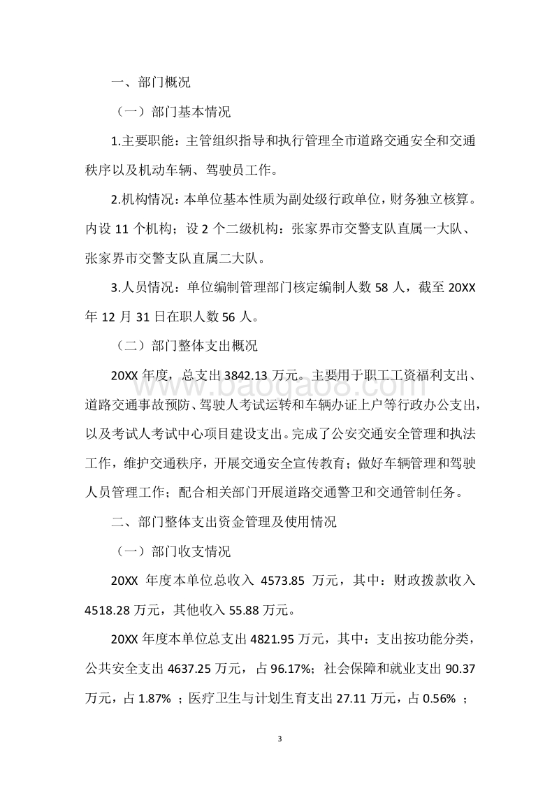交警支队20XX年度部门整体支出绩效自评报告.docx_第3页
