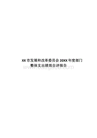 XX市发展和改革委员会20XX年度部门整体支出绩效自评报告.docx