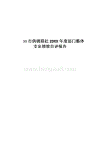XX市供销联社20XX年度部门整体支出绩效自评报告.docx