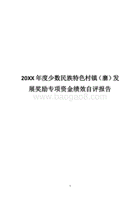 20XX年度少数民族特色村镇（寨）发展奖励专项资金绩效自评报告.docx