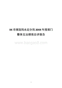 XX市规划局永定分局20XX年度部门整体支出绩效自评报告.docx
