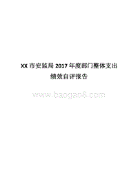 XX市安监局2017年度部门整体支出绩效自评报告.docx