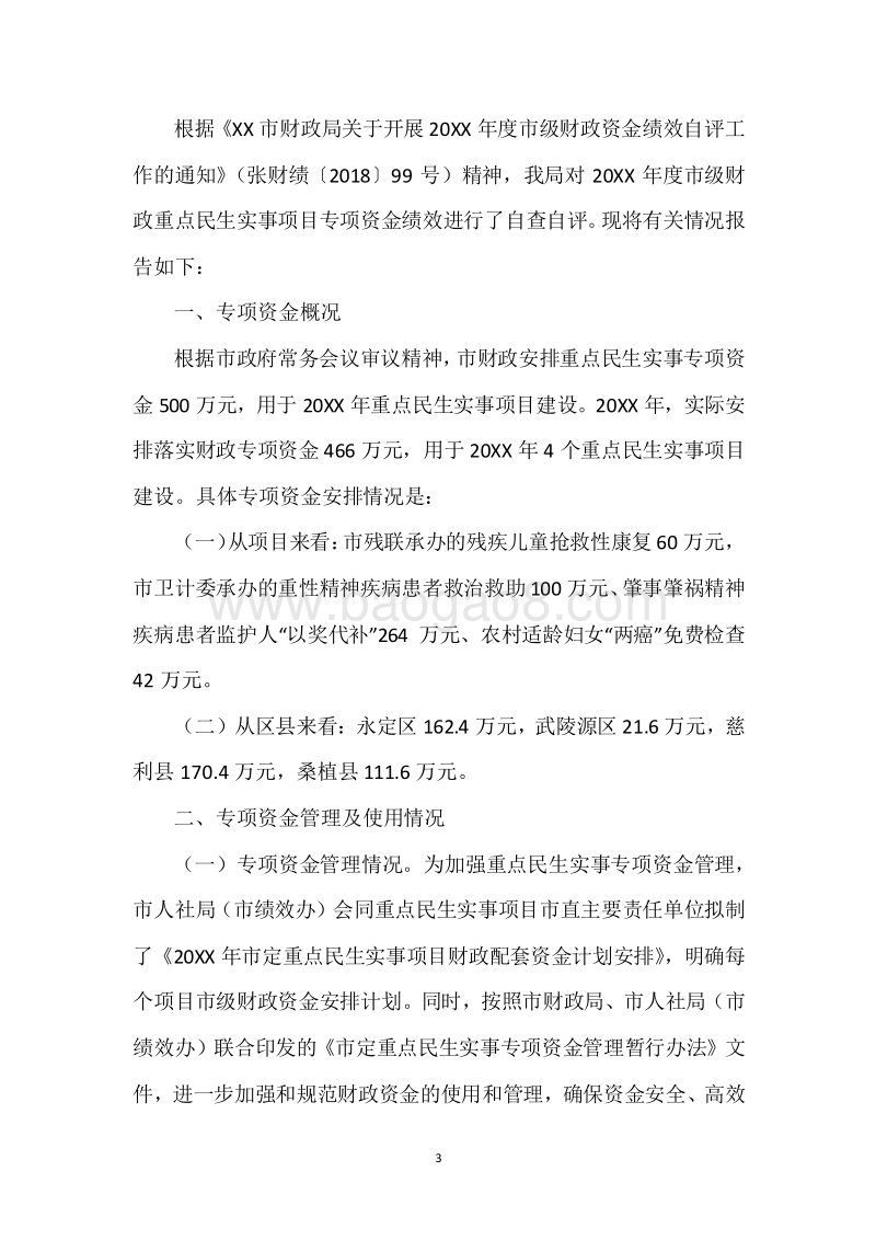 20XX年度重点民生实事专项资金绩效自评报告.docx_第3页
