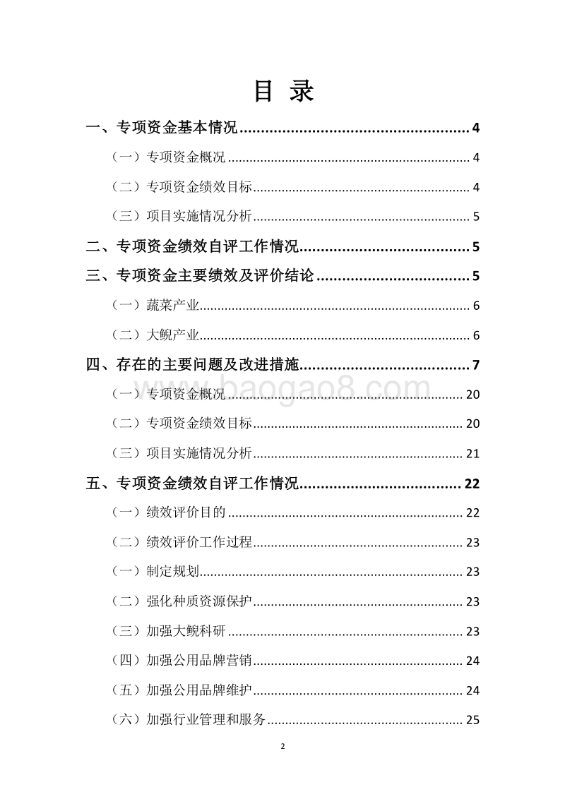 20XX年度523行动计划专项资金绩效自评报告.docx_第2页