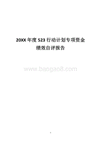 20XX年度523行动计划专项资金绩效自评报告.docx
