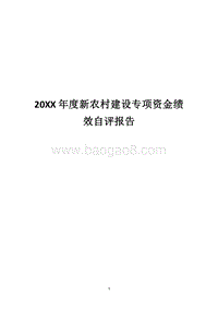 20XX年度新农村建设专项资金绩效自评报告.docx