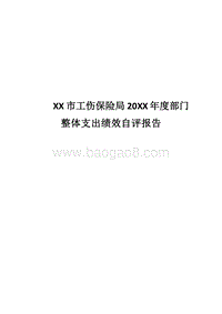 XX市工伤保险局20XX年度部门整体支出绩效自评报告.docx