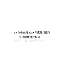XX市公安局20XX年度部门整体支出绩效自评报告.docx