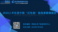 2019上半年中国“泛电商”独角兽数据报告.pdf