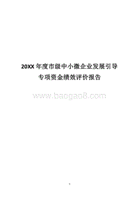 20XX年度市级中小微企业发展引导专项资金绩效评价报告.docx