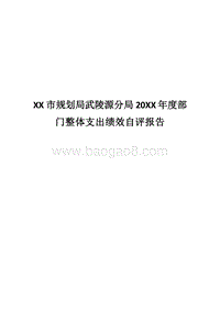 XX市规划局武陵源分局20XX年度部门整体支出绩效自评报告.docx