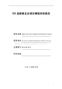 20XX年度农村义务教育学生营养改善计划资金绩效评价报告.doc
