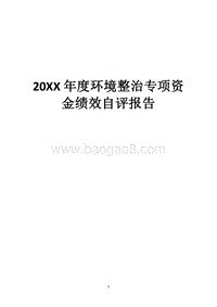 20XX年度环境整治专项资金绩效自评报告.docx