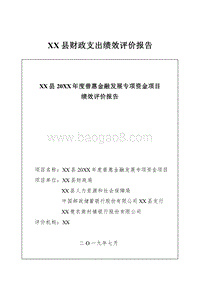 XX县20XX年度普惠金融发展专项资金项目继续评价报告.doc