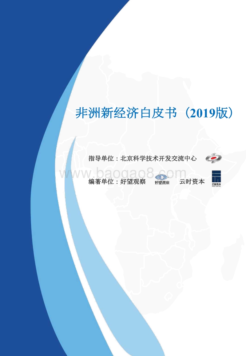 2019版非洲新经济白皮书.pdf_第1页