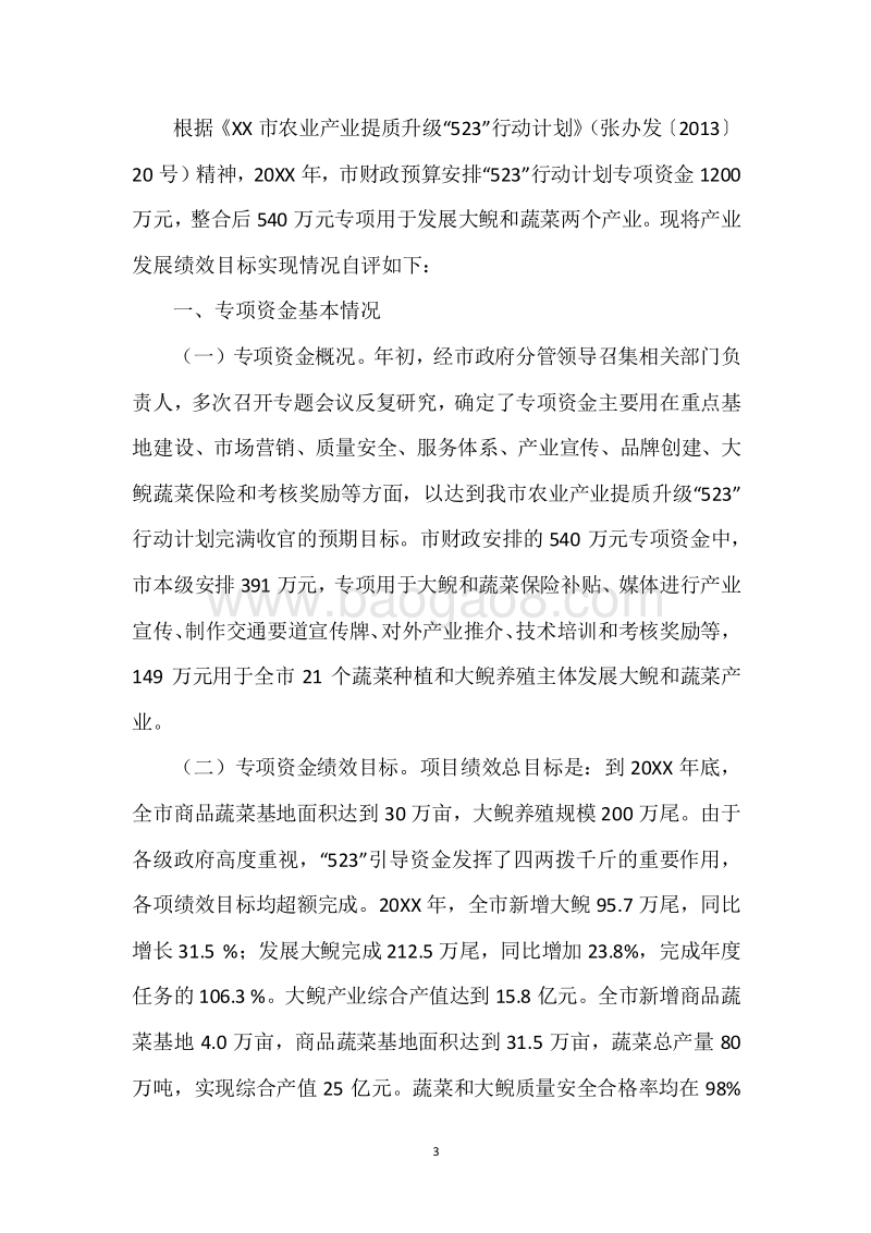 20XX年度“523”行动计划专项资金绩效自评报告.docx_第3页