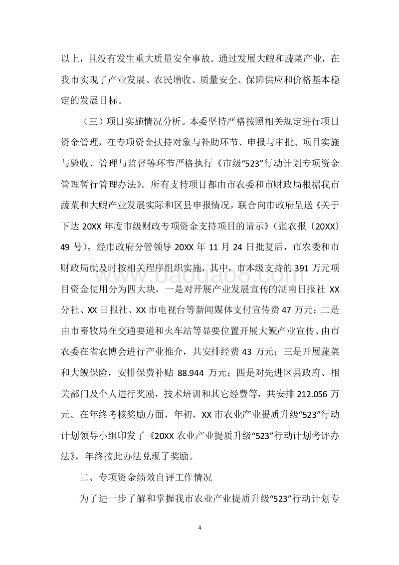 20XX年度“523”行动计划专项资金绩效自评报告.docx_第4页
