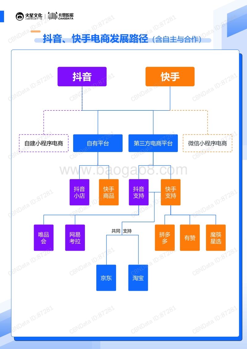 抖音VS快手-30日红人电商研究报告.pdf_第3页