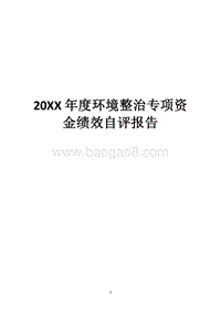 20XX年度环境整治专项资金绩效自评报告.docx