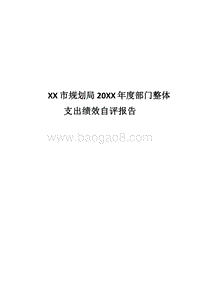 XX市规划局20XX年度部门整体支出绩效自评报告.docx