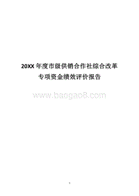 20XX年度市级供销合作社综合改革专项资金绩效评价报告.docx